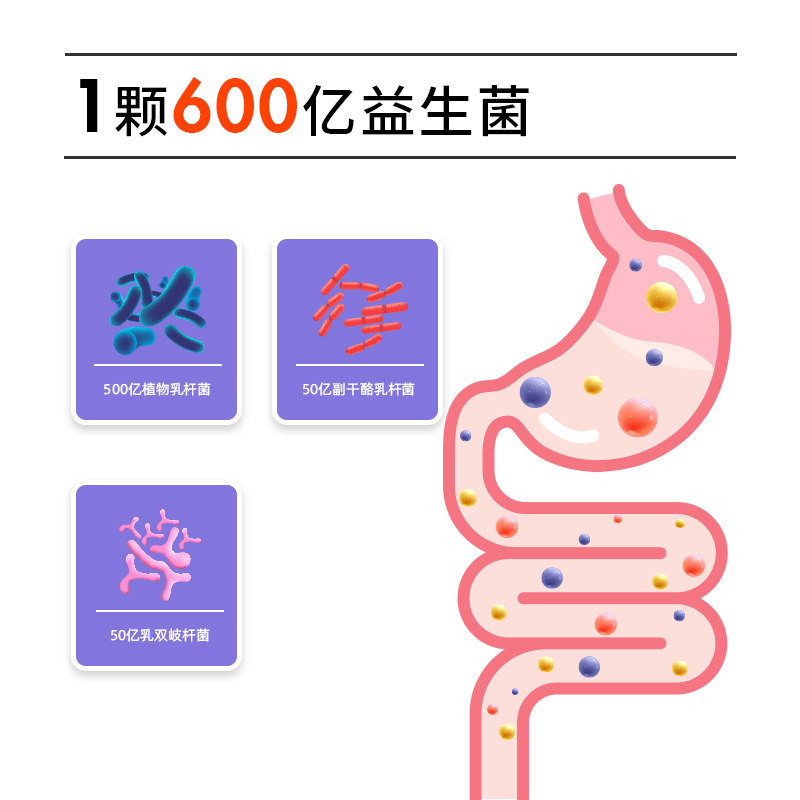 超级补丁火锅救星大餐果蔬粉益生元 超级补丁益生菌