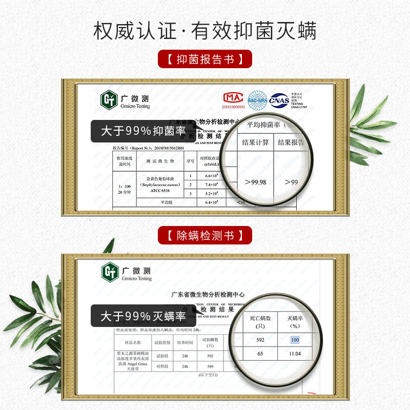 笙木之源内衣清洗液洗内裤洗衣液剂 笙木之源常规洗衣液