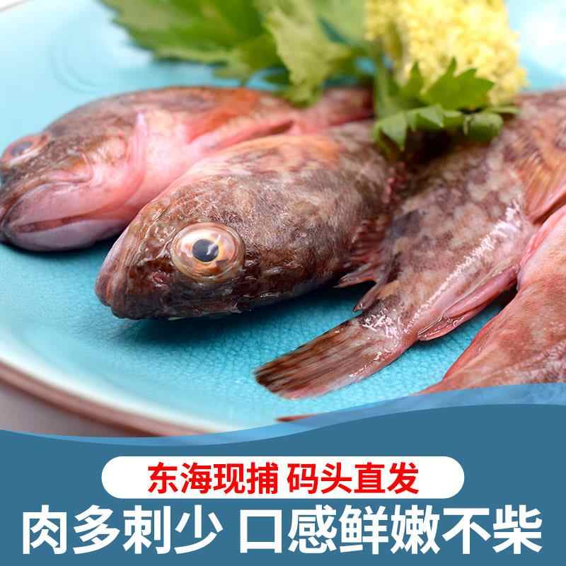 狗翁 新人首單立減十元 22年3月 淘寶海外