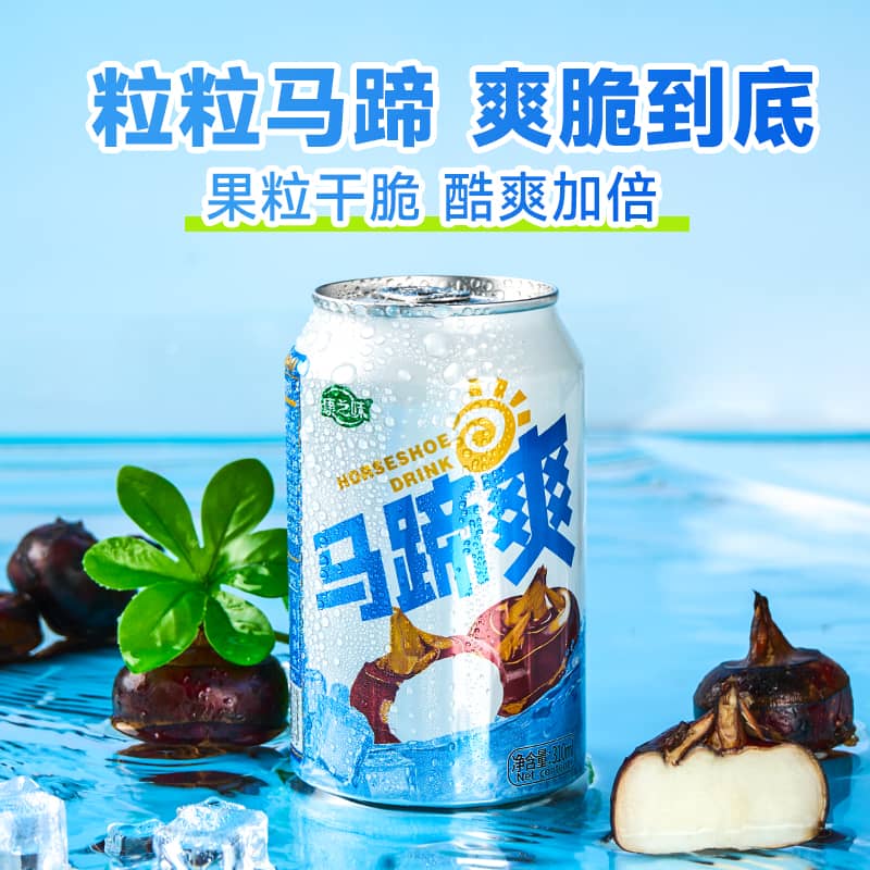 康之味马蹄爽荸荠果汁果肉果粒水果饮料清润解腻310ML*24听