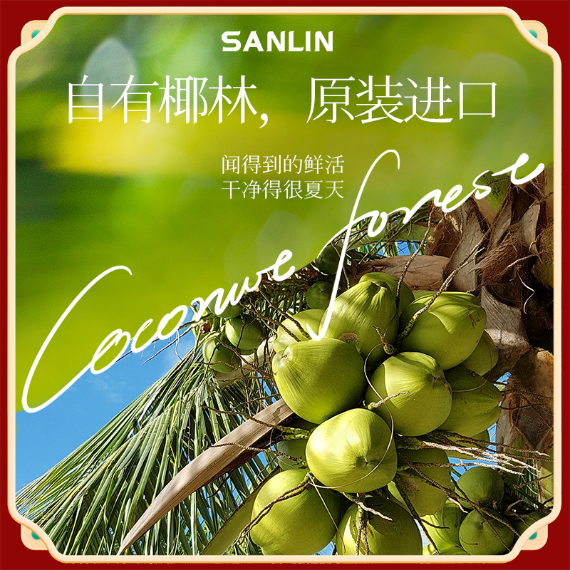 三麟100%椰子水富含天然电解质泰国进口NFC果汁330ml*12瓶整箱