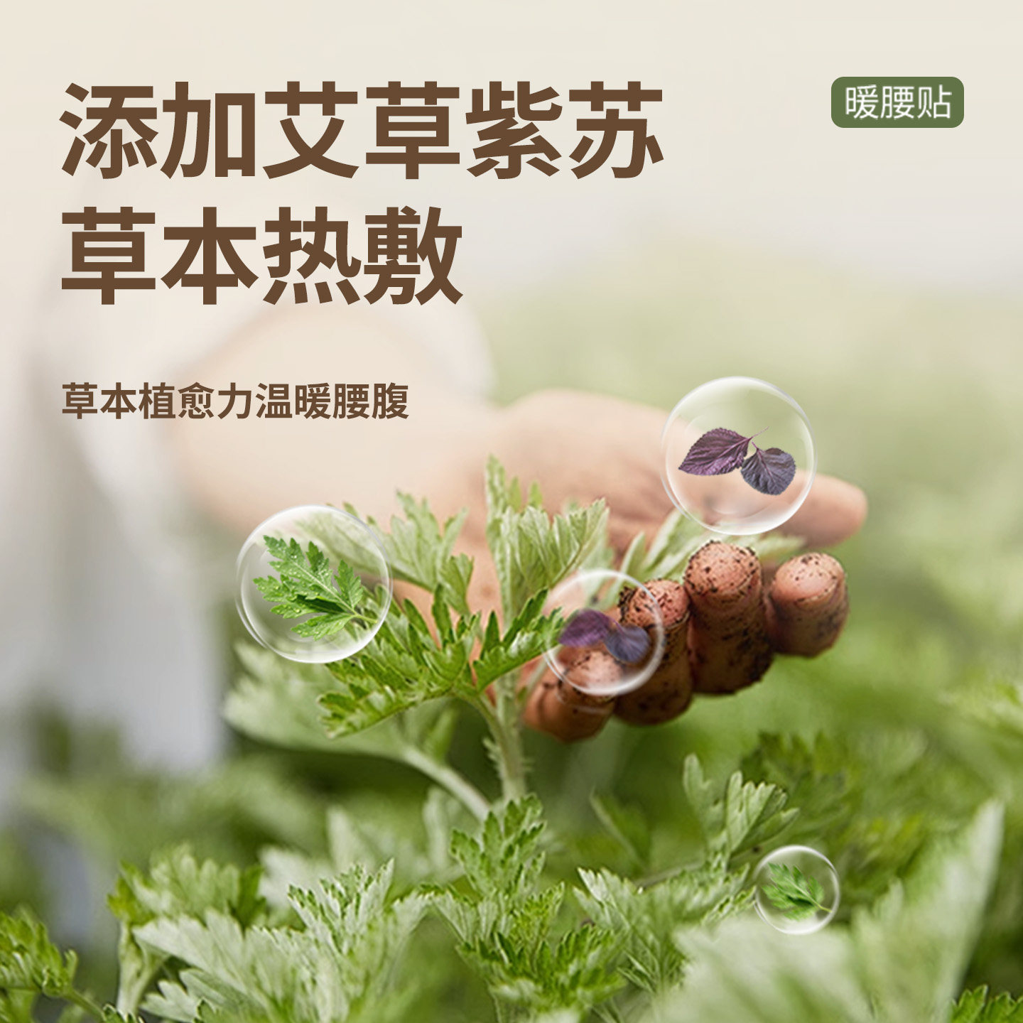 图5