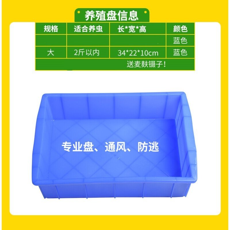 大麦虫活虫鲜活面包虫大号黄粉虫金龙鱼鱼食八哥画眉鸟食活体虫子,淘宝优惠券,粉丝福利购,淘宝优惠卷