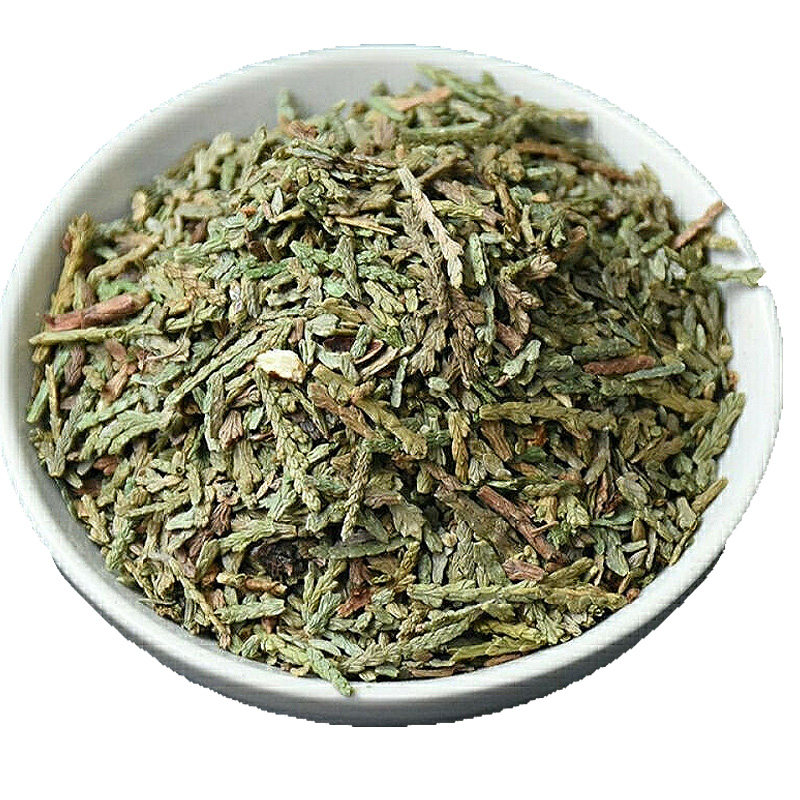 侧柏叶侧柏叶洗发包侧柏叶另售何首乌桑叶苦丁非中药材
