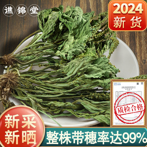 车前草500g克干货官方旗舰店带根非中药材新鲜袋泡茶不野生绞股蓝 - 图2