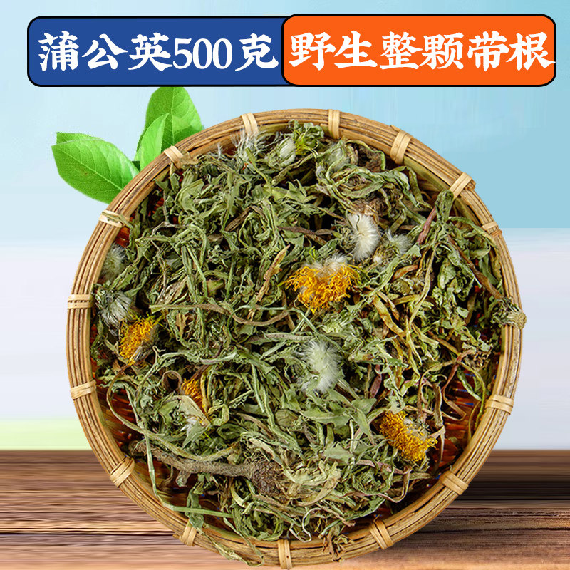 蒲公英浦公英晒干货蒲公英根茶新鲜官方不特级旗舰店非中药材野生