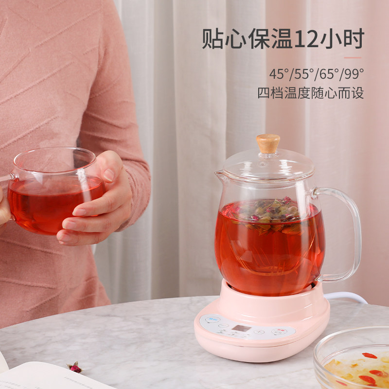 多功能养生壶mini小型家用迷你花茶 半念养生壶/煎药壶