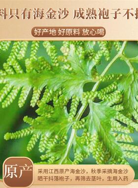 海金沙中药材野生250g泡水新鲜正品旗舰中药无添加海金砂粉