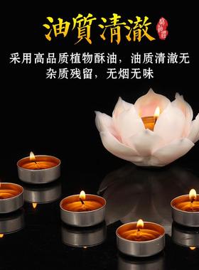 供佛灯4小时100粒酥油灯灯盏家用供灯小蜡烛植物油酥油灯8个小时