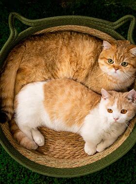 藤编猫窝蒲草夏季凉席窝猫抓窝四季通用床猫抓板猫咪垫子宠物用品