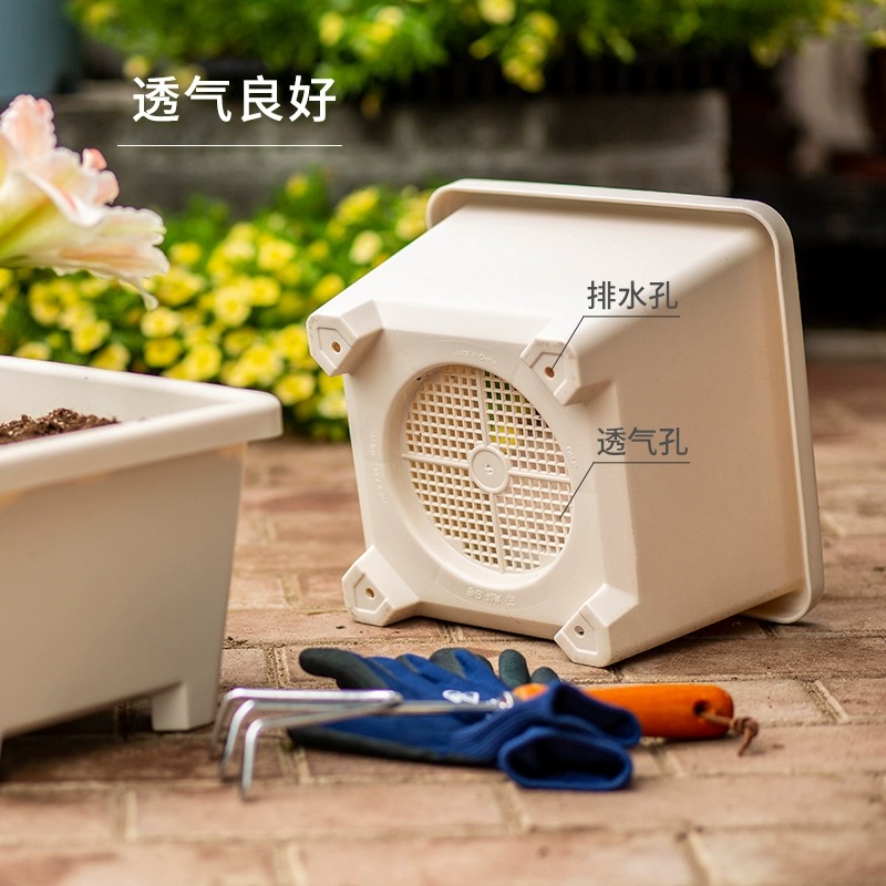 爱丽思方形花盆朱顶红专用盆花卉盆栽塑料阳台种菜方盆爱丽丝花盆 - 图2