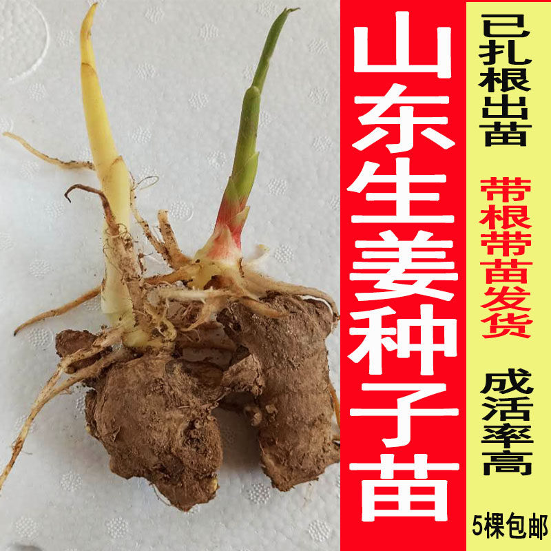 详情 爱书享 分享有趣的世界