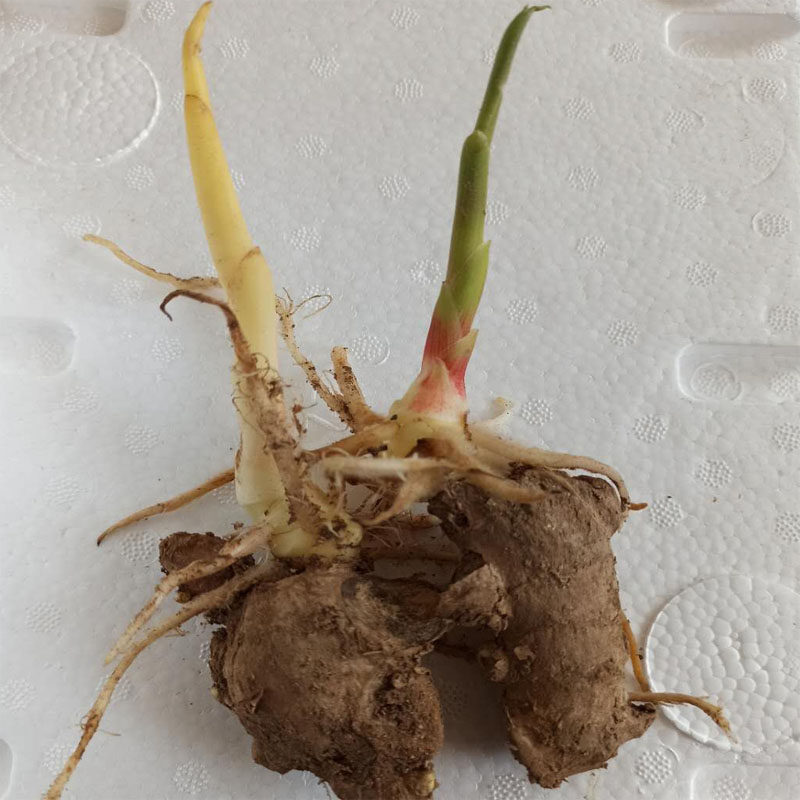 详情 爱书享 分享有趣的世界