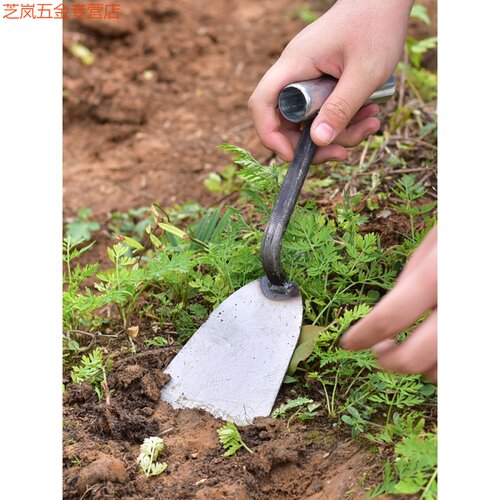 锻打加厚挖野菜专用铲挖菜除草神器小铲子户外挖土工具起蒜挖蒜铲 - 图2