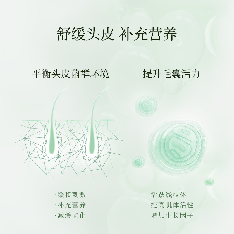 品牌官方正品onsensou温泉藻精华洗发水清爽控油蓬松无硅油护发素