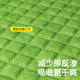 Dog pee pads are designed to induce defecation, thicken and deodorize