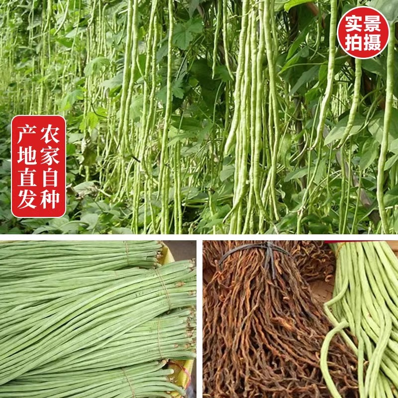 干豆角农家自制土特产长豇豆500g包邮豆角干下饭菜煲炖汤干货商用