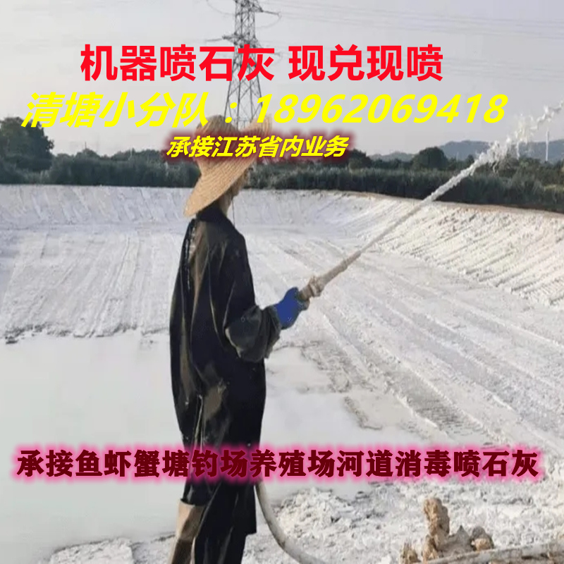 生石灰粉鱼塘消毒杀菌净化水质地面除湿防潮防霉干燥剂刷树50斤 - 图2