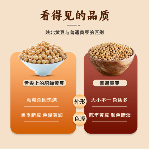 陕北豆子新黄豆打豆浆专用大豆农家自种豆粒杂粮大黄豆生黄豆豆芽 - 图2