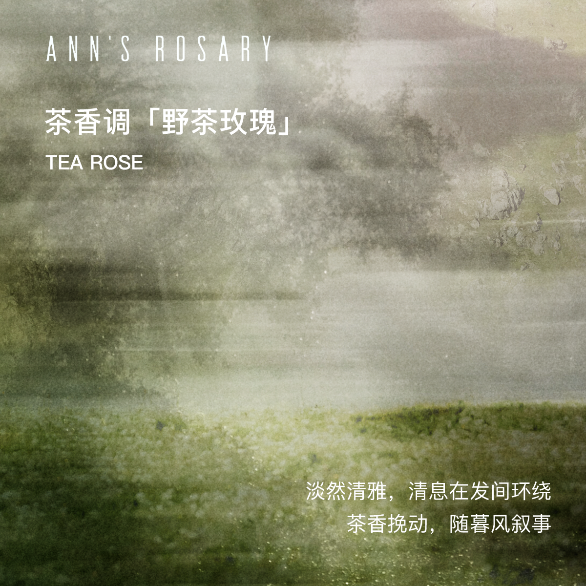 ANNS ROSARY/安的玫瑰庄园野茶玫瑰海盐头皮洁净磨砂膏250g环保装,淘宝优惠券,粉丝福利购,淘宝优惠卷