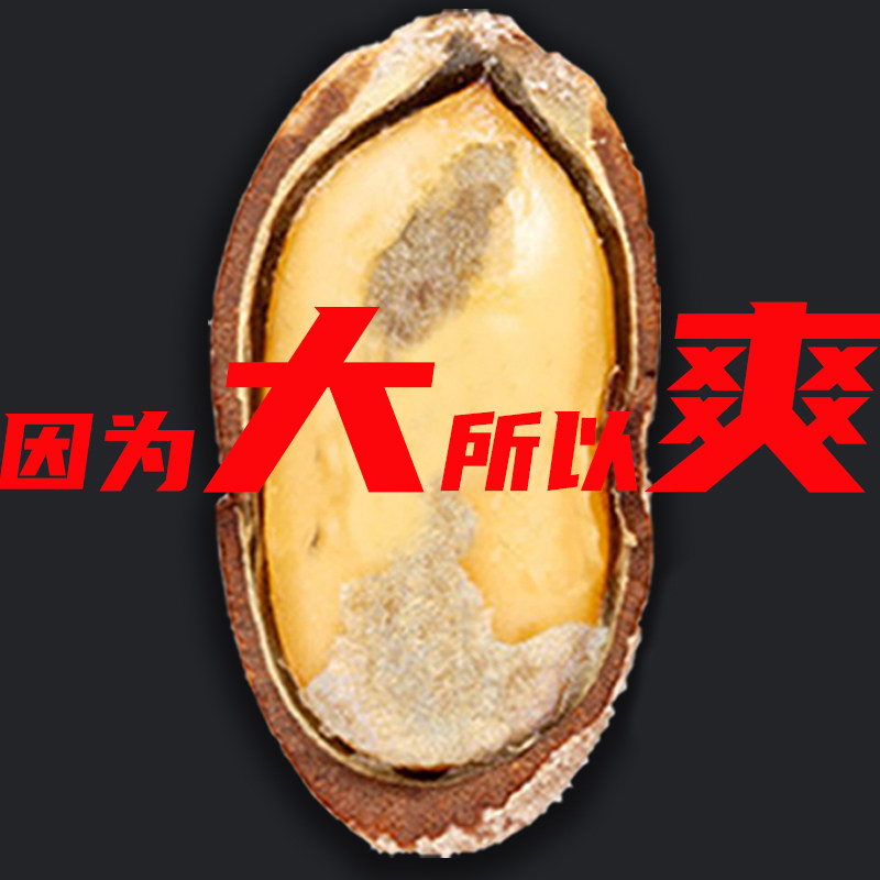 新货原味奶油味大别山瓜蒌籽吊瓜子 奇妙小镇瓜子
