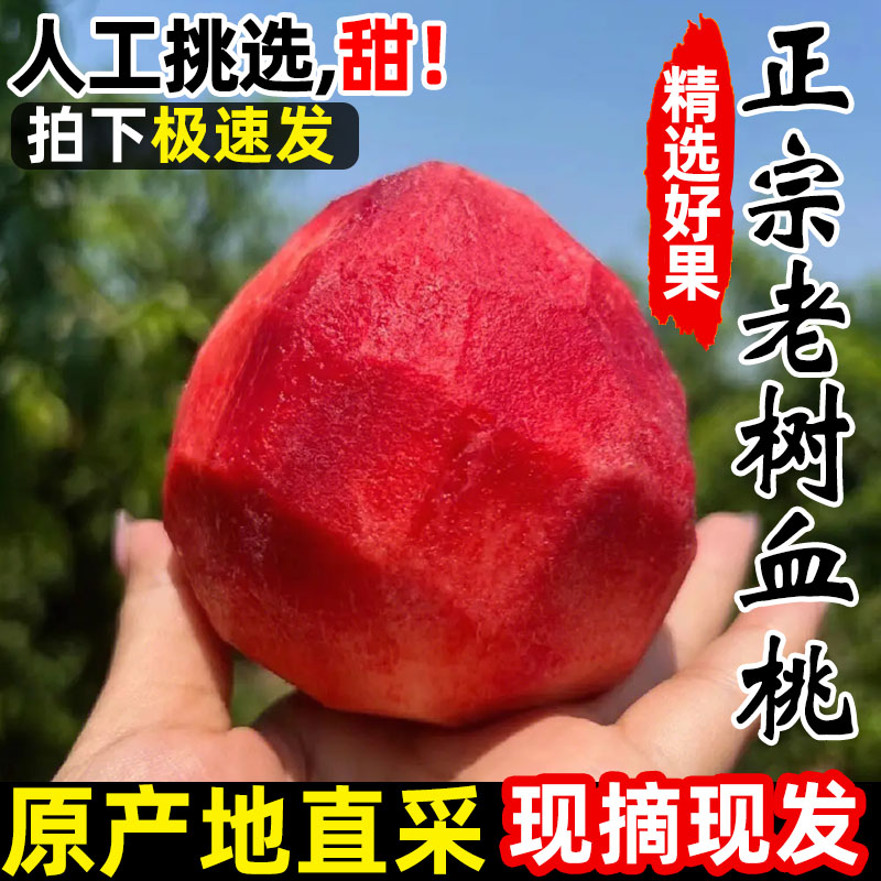 正宗湖北血桃新鲜桃子时令水果当季雪桃毛桃脆桃大果红桃孕妇10斤 - 图1