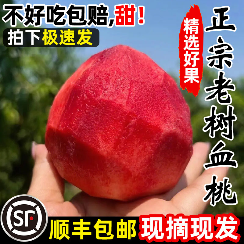 正宗湖北血桃新鲜桃子时令水果当季雪桃毛桃脆桃大果红桃孕妇10斤