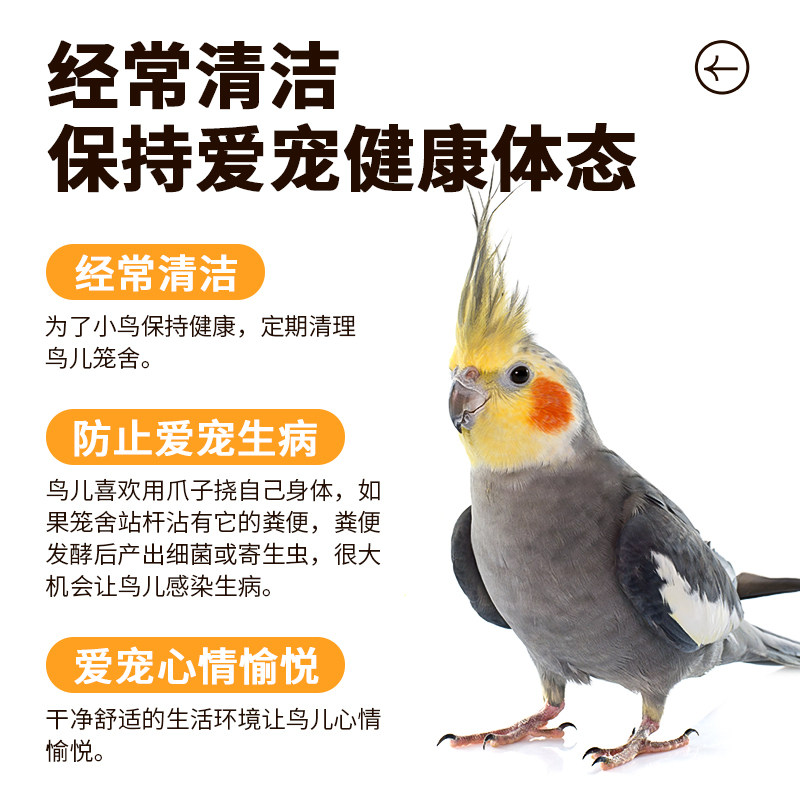 鸟笼清洁刷子鹦鹉宠物笼子专用清理工具多功能配件鸟用品清洗方便,淘宝优惠券,粉丝福利购,淘宝优惠卷