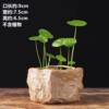 Stone pot antique stone flower pot non-porous hydroponic special pot