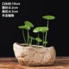 Stone pot antique stone flower pot non-porous hydroponic special pot