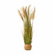 Reed good looking hot selling landscaping decoration