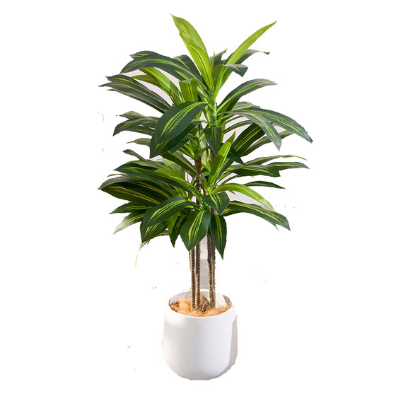Nordic simulated green plants Brazilian wood potted plants floor-standing indoor