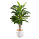 Nordic simulated green plants Brazilian wood potted plants floor-standing indoor
