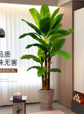 假绿植芭蕉树室内大型高端轻奢装饰摆件高级仿生植物落地仿真盆栽