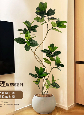 仿真绿植孟加拉榕室内客厅沙发旁