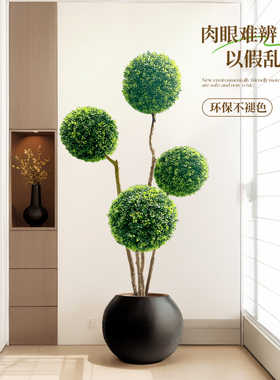 仿真绿植米兰球室内沙发旁装饰