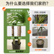 Dragon blood tree simulation green plant dragon beard tree dragon iron tree living room decoration indoor large fake plant potted floor-standing ornaments