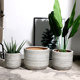 Simple Nordic large size tiger orchid floor-standing green plant flower pot ceramic balcony extra large oversized clearance courtyard creative