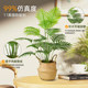 Love pomelo simulation green plant large potted indoor artificial tree