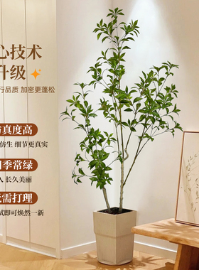 仿真绿植马醉木室内假盆栽