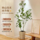 Simulated green plant Mazuimu indoor fake potted plant