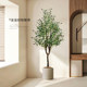 Simulated green plant olive tree floor-standing potted indoor large plant ornaments living room light luxury decoration bionic flower fake tree