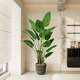 Simulated Flower Traveler Banana Love Pomelo Sanwei Sunflower Bionic Plant