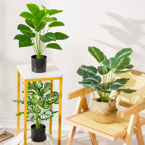仿真绿植小盆栽龟背散尾葵客厅室内落地摆件装饰假花植物桌面摆设 - 图2