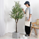 Love pomelo olive tree floor-standing potted fake plants fake green plants