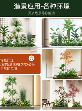 恋柚绿植园艺仿真绿植造景组合