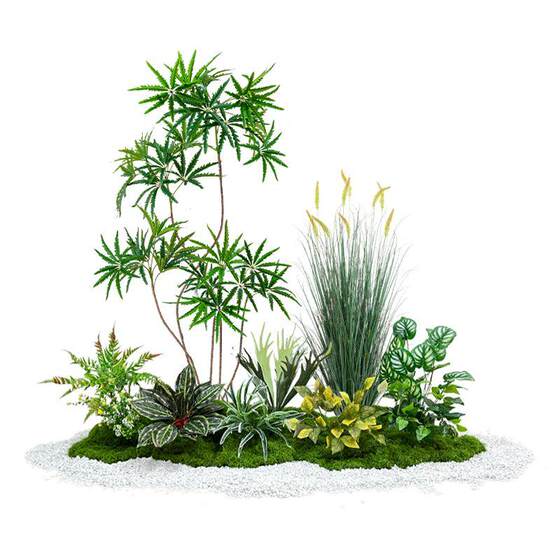 Love pomelo green plant gardening simulation green plant landscaping combination