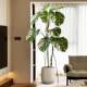 Simulated plants, fake trees, indoor living room, floor-to-ceiling large monstera, high-end bionic green plant potted decorative ornaments