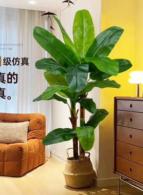 假植物芭蕉树室内高端轻奢仿真装饰摆件大型高级仿生绿植落地盆栽