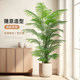 Love pomelo simulation green plant high-end light luxury plant landscaping indoor potted plant decoration ornaments tropical wind scattered tail sunflower tree